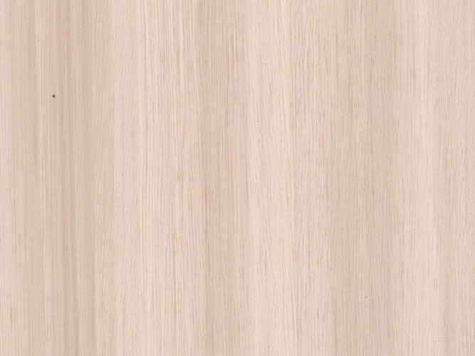 Siam Teak